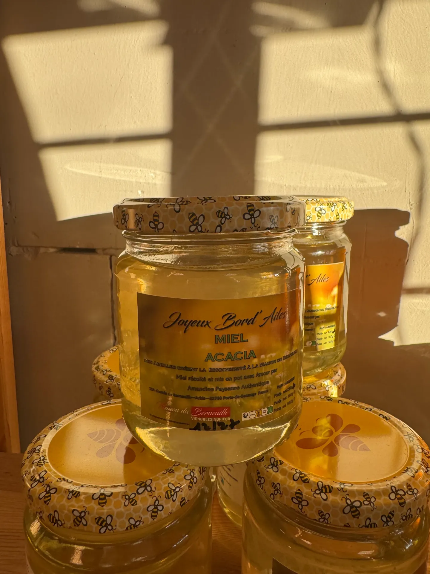 VIGNOBLES NORIEGA MIEL ACACIA 250g