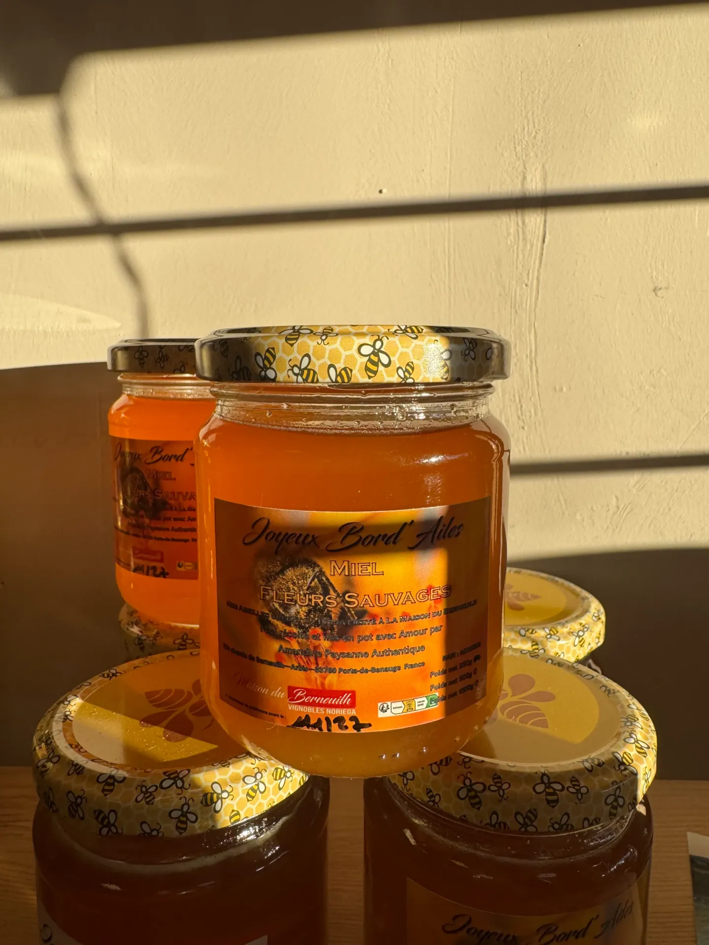 VIGNOBLES NORIEGA MIEL Fleurs sauvages 250g